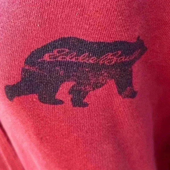 Eddie Bauer Men's Large Pullover Burnt Rust Hoodie - Picture 3 of 7